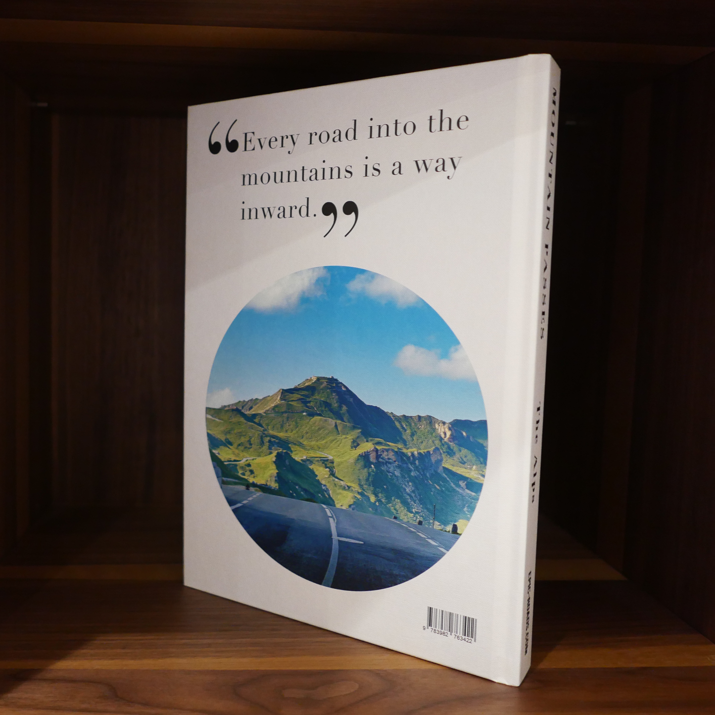 Mountain Passes - The Alps (English Edition)