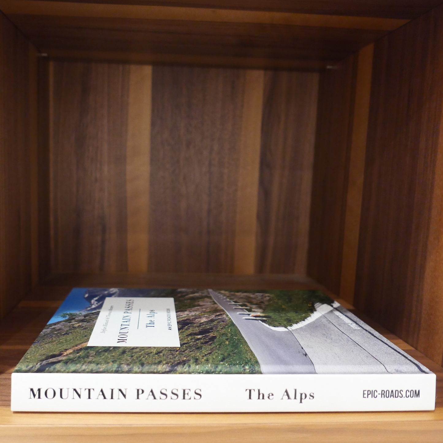 Mountain Passes - The Alps (English Edition)