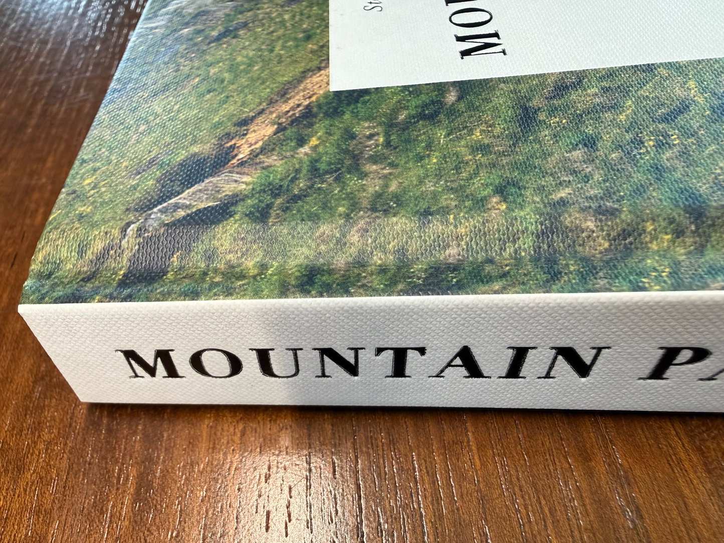 Mountain Passes - The Alps (English Edition)