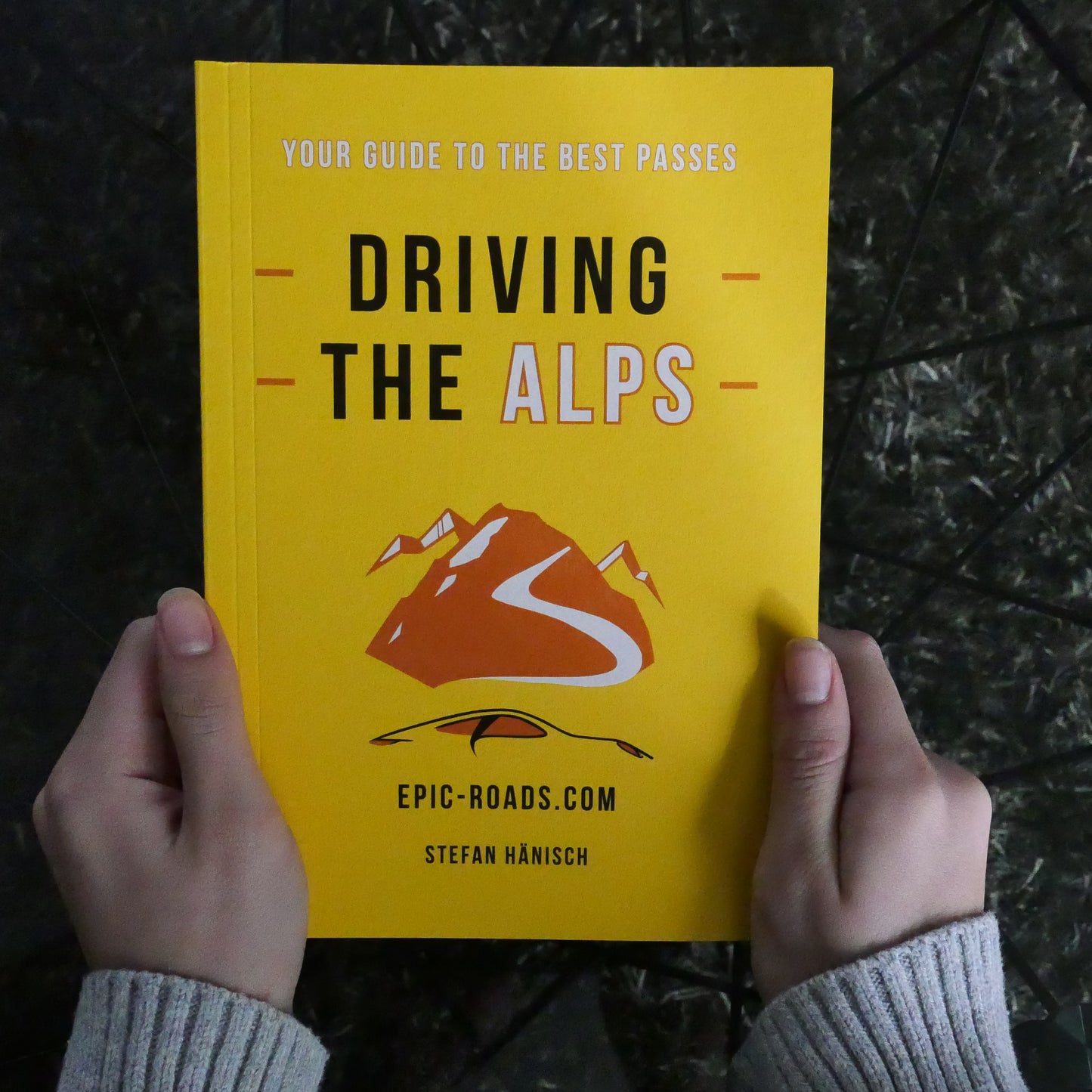 Driving the Alps (Édition anglaise)